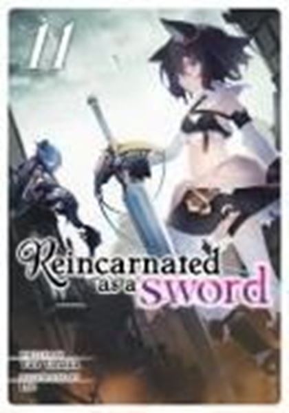 Bild von Tanaka, Yuu: Reincarnated as a Sword (Light Novel) Vol. 11