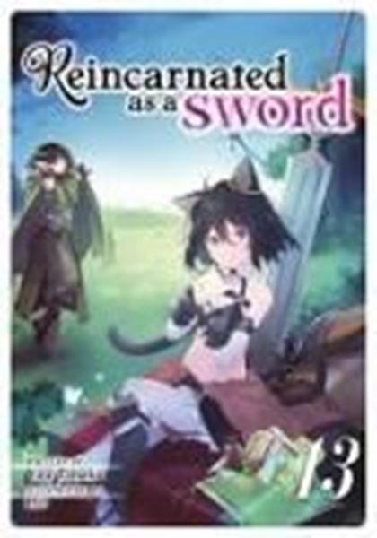 Bild von Tanaka, Yuu: Reincarnated as a Sword (Light Novel) Vol. 13