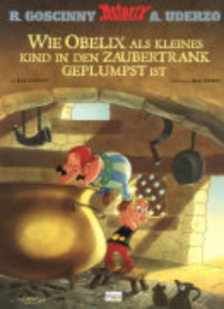 Bild zu Wie Obelix als kleines Kind in den Zaubertrank geplumpst ist von René (Text von) Goscinny