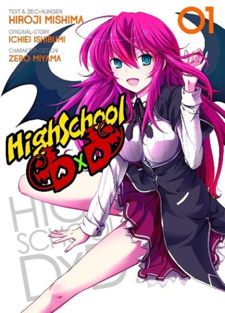 Bild zu HighSchool DxD 01 von Hiroji Mishima