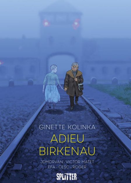 Bild zu Adieu Birkenau von Ginette Kolinka