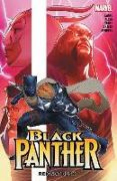 Bild zu BLACK PANTHER BY EVE L. EWING: REIGN AT DUSK VOL. 2 von Eve L. Ewing