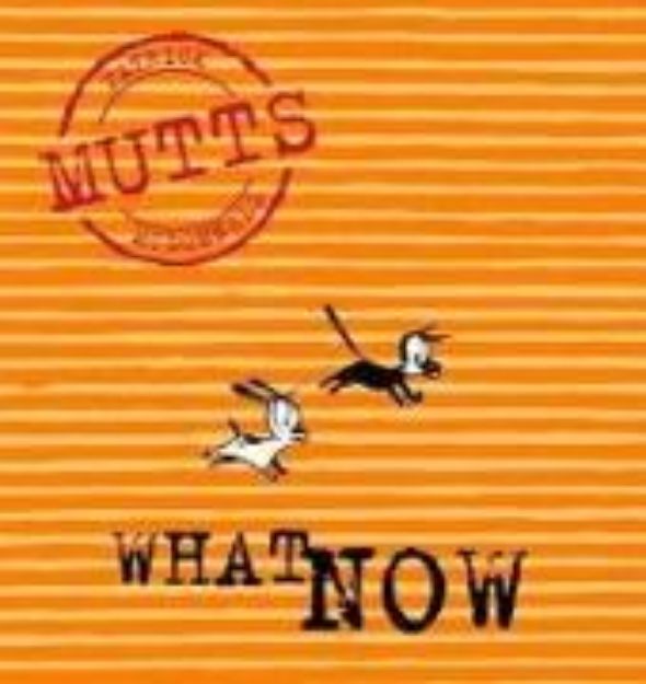 Bild zu What Now: Mutts VII von Patricia McDonnell