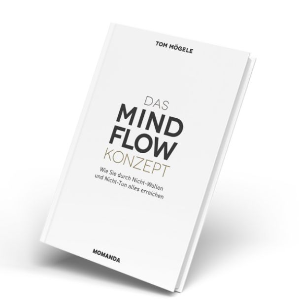 Bild von Das MindFlow Konzept von Tom Mögele