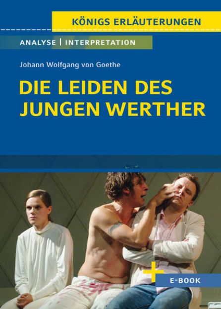 Bild zu Die Leiden des jungen Werther von Johann Wolfgang von Goethe - Textanalyse und Interpretation von Johann Wolfgang von Goethe