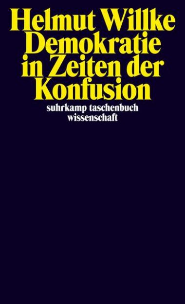 Bild zu Demokratie in Zeiten der Konfusion von Helmut Willke