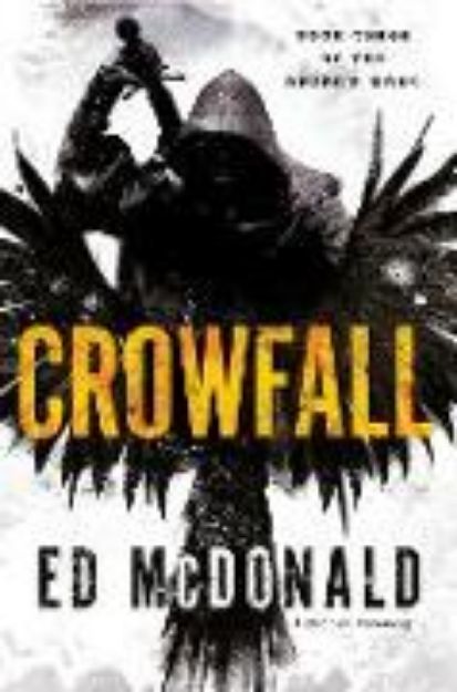 Bild von Crowfall von Ed McDonald