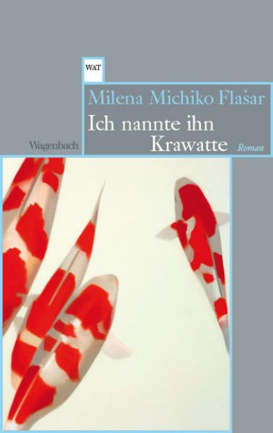 Bild von Ich nannte ihn Krawatte von Milena Michiko Flasar