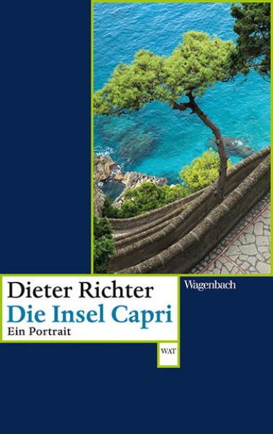 Bild zu Die Insel Capri von Dieter Richter