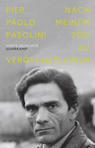 Bild von Nach meinem Tod zu veröffentlichen von Pier Paolo Pasolini