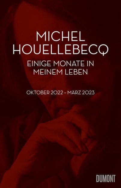 Bild von Einige Monate in meinem Leben von Michel Houellebecq