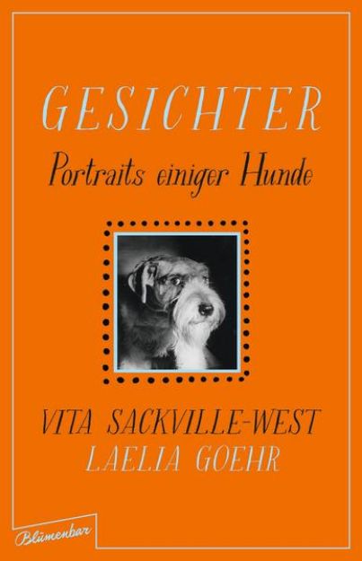 Bild von Gesichter von Vita Sackville-West