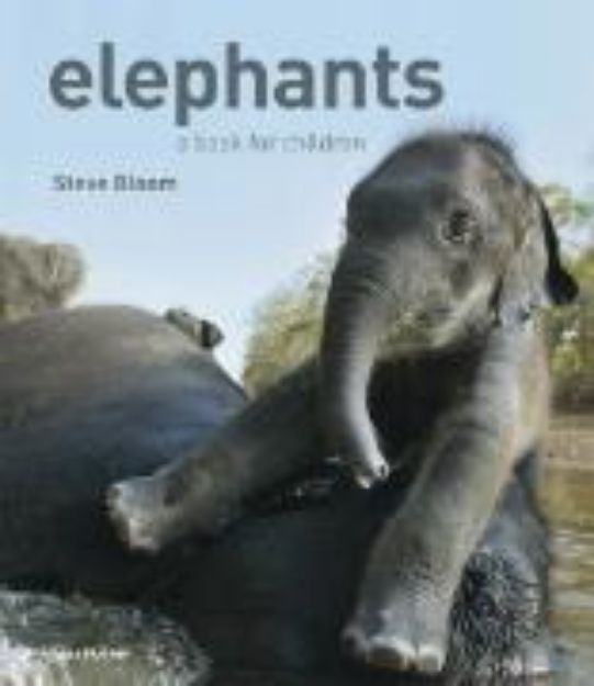 Bild von Elephants von Steve Bloom