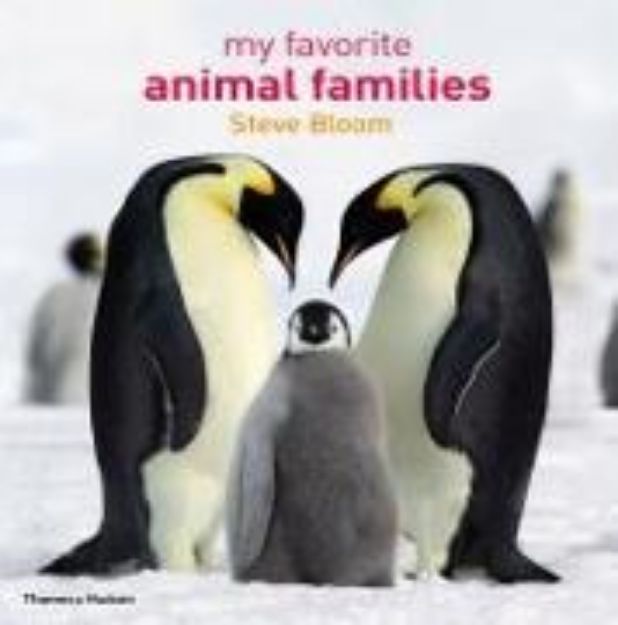 Bild zu My Favorite Animal Families von David Henry (Ausw.) Wilson