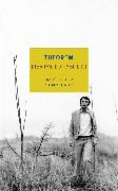 Bild zu Theorem von Pier Paolo Pasolini