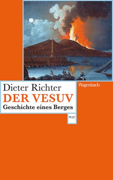 Bild von Der Vesuv von Dieter Richter