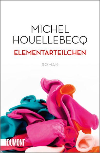 Bild von Elementarteilchen von Michel Houellebecq