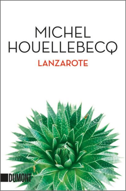 Bild von Lanzarote von Michel Houellebecq