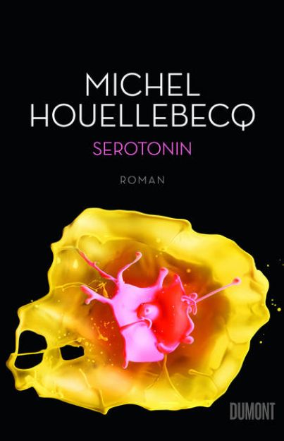 Bild von Serotonin von Michel Houellebecq