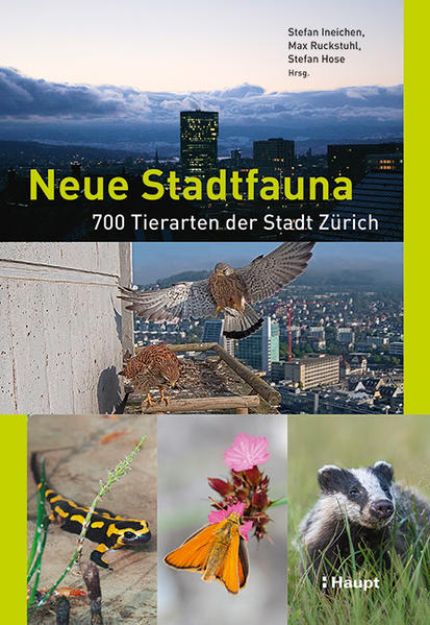 Bild zu Neue Stadtfauna von Stefan (Hrsg.) Ineichen