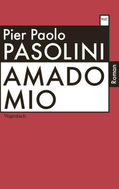 Bild von Amado mio von Pier Paolo Pasolini