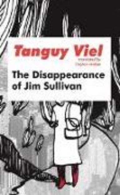 Bild von The Disappearance of Jim Sullivan von Tanguy Viel