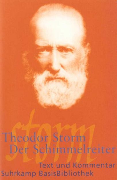 Bild von Der Schimmelreiter von Theodor Storm