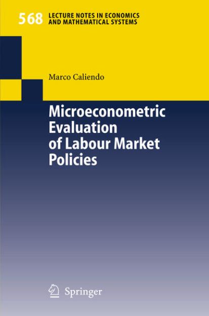 Bild von Microeconometric Evaluation of Labour Market Policies von Marco Caliendo