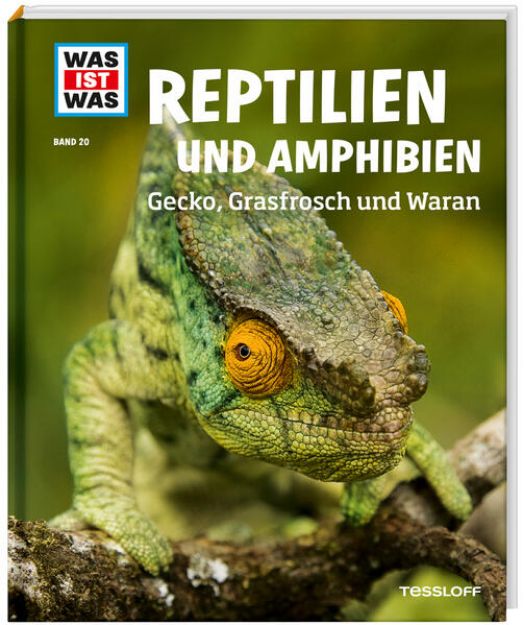 Bild von WAS IST WAS Band 20 Reptilien und Amphibien. Gecko, Grasfrosch und Wa von Alexandra Rigos