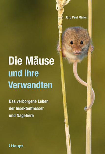 Bild zu Die Mäuse und ihre Verwandten von Jürg Paul Müller