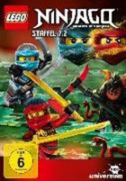 Bild von LEGO Ninjago: Masters of Spinjitzu von Dan Hageman