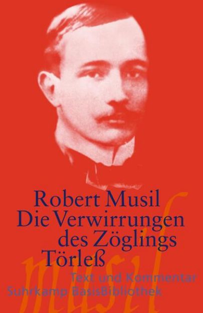 Bild zu Die Verwirrungen des Zöglings Törleß von Robert Musil