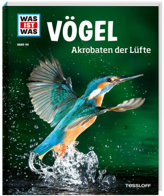 Bild von WAS IST WAS Band 40 Vögel. Akrobaten der Lüfte von Alexandra Werdes