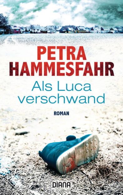 Bild von Als Luca verschwand von Petra Hammesfahr