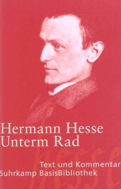 Bild zu Unterm Rad von Hermann Hesse