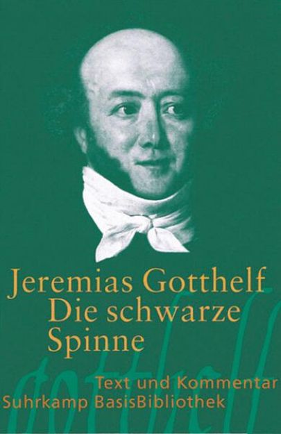 Bild von Die schwarze Spinne von Jeremias Gotthelf