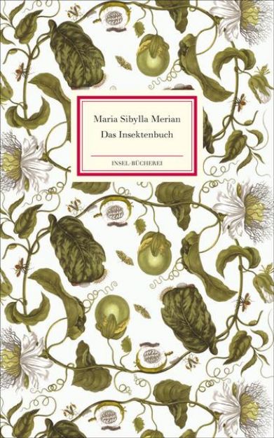 Bild von Das Insektenbuch von Maria Sibylla Merian