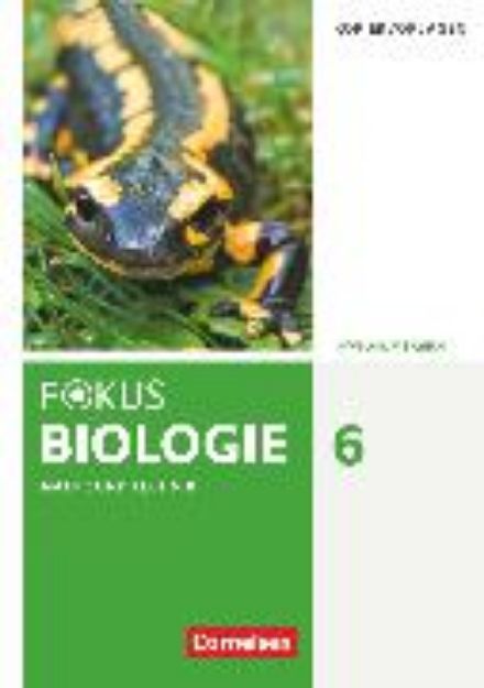 Bild von Fokus Biologie - Neubearbeitung, Gymnasium Bayern, 6. Jahrgangsstufe, Natur und Technik: Biologie, Kopiervorlagen von Cornelia Pätzelt