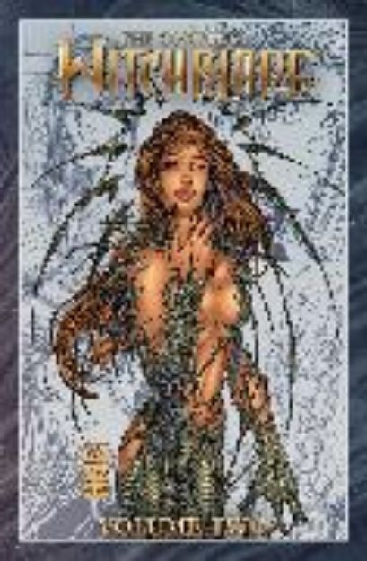 Bild von The Complete Witchblade, Volume 2 von David Wohl