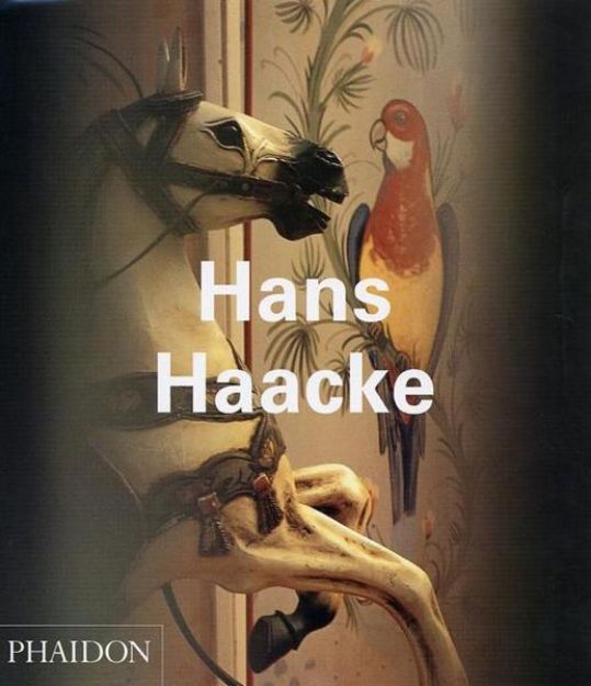 Bild von Hans Haacke von Molly Nesbit