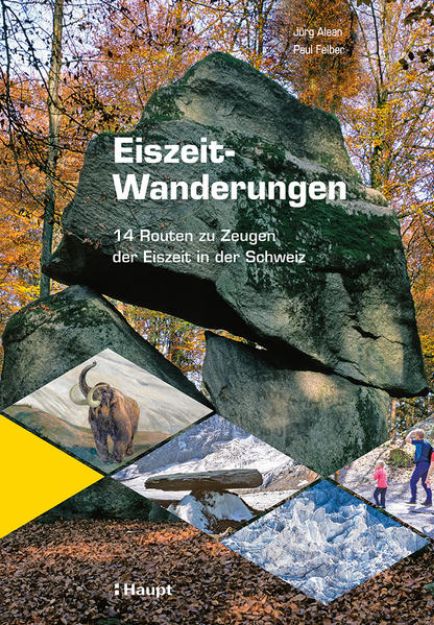 Bild zu Eiszeit-Wanderungen von Jürg Alean