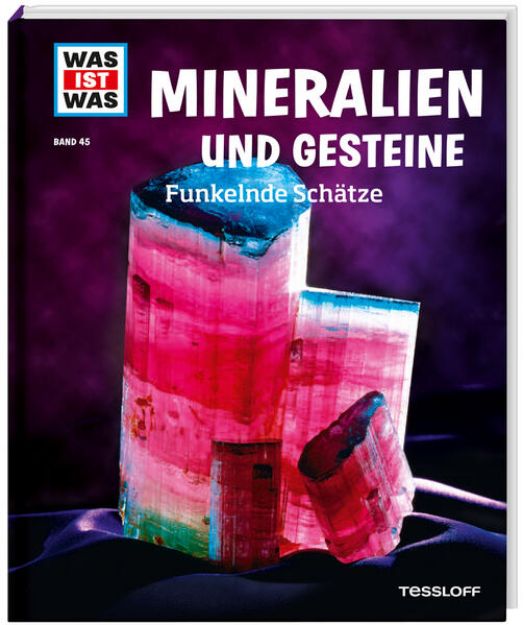 Bild von WAS IST WAS Band 45 Mineralien und Gesteine. Funkelnde Schätze von Karin Finan