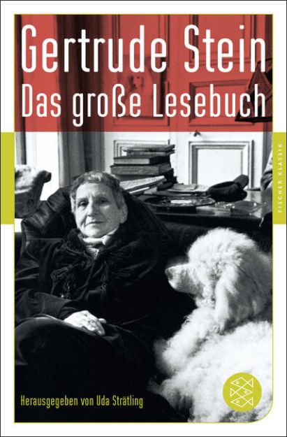 Bild zu Das große Lesebuch von Gertrude Stein