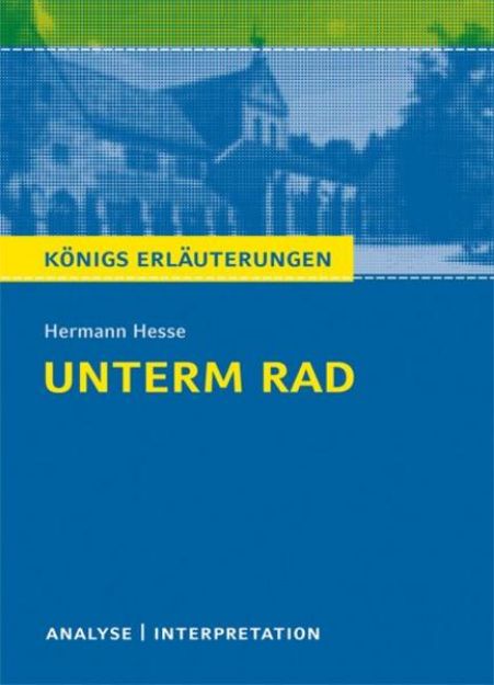 Bild zu Unterm Rad von Hermann Hesse von Hermann Hesse