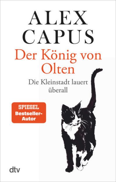 Bild von Der König von Olten von Alex Capus