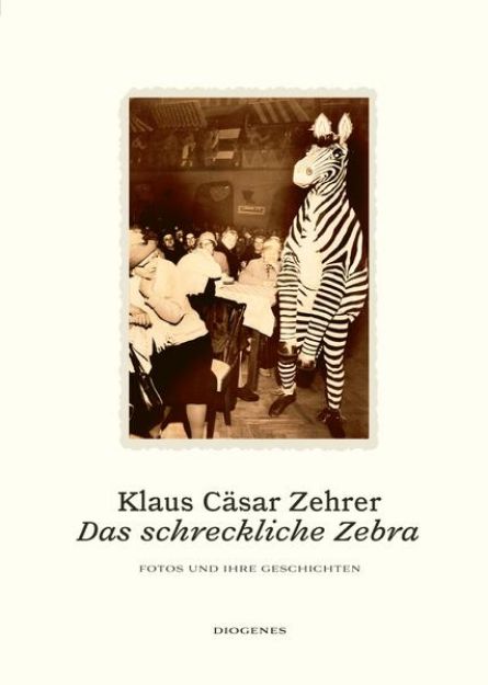 Bild zu Das schreckliche Zebra von Klaus Cäsar Zehrer