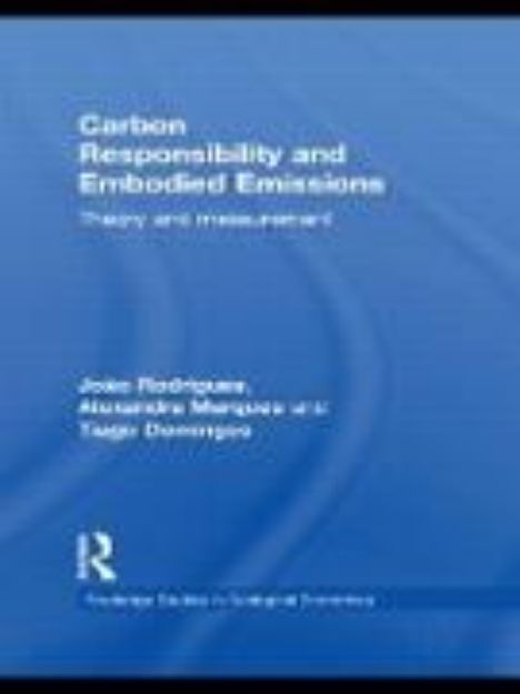 Bild von Carbon Responsibility and Embodied Emissions von João F. D. Rodrigues