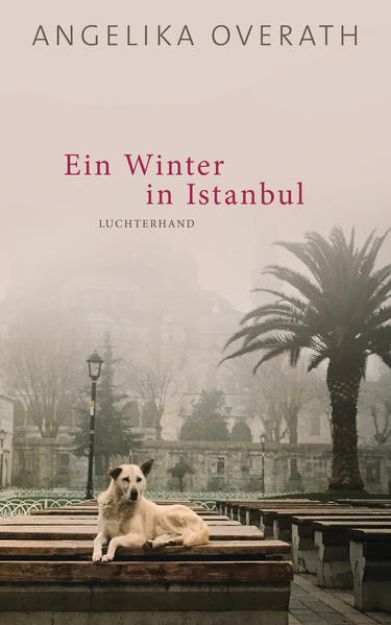 Bild von Ein Winter in Istanbul von Angelika Overath