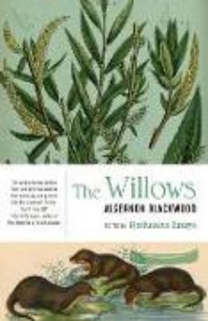 Bild von The Willows von Algernon Blackwood