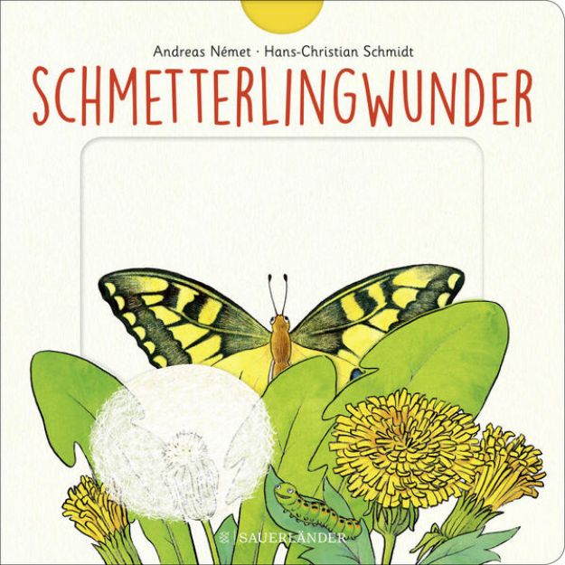 Bild von Schmetterlingwunder von Hans-Christian Schmidt